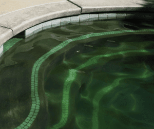 getting rid of pool algae