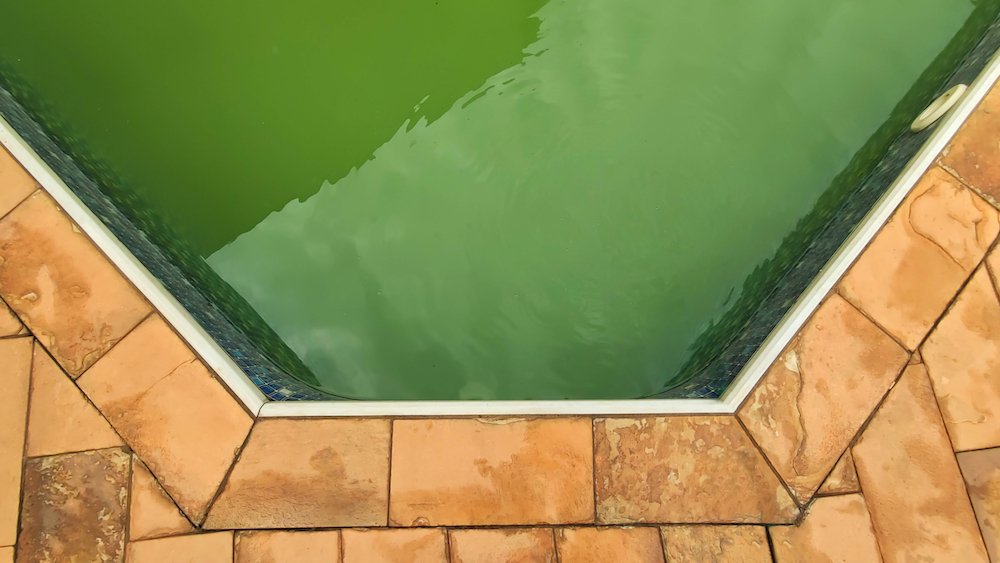 Green pool water: how do you catch it?