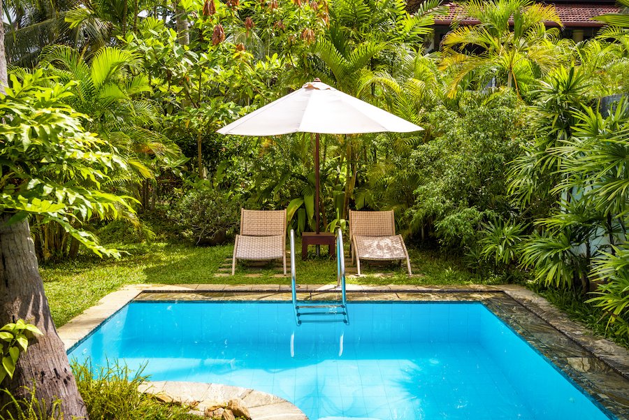 Piscine dans un jardin en ville