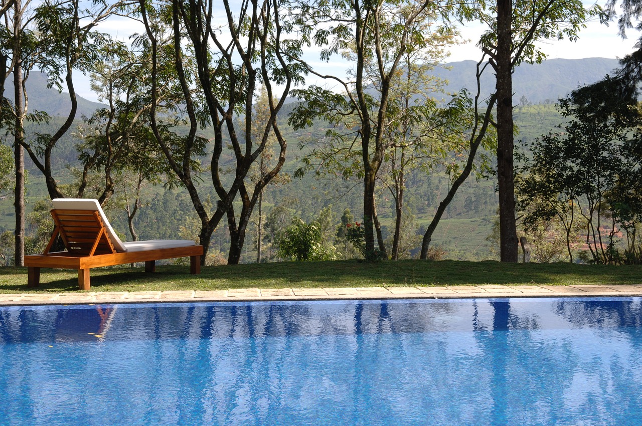 piscine coque avec vue sur la forêt