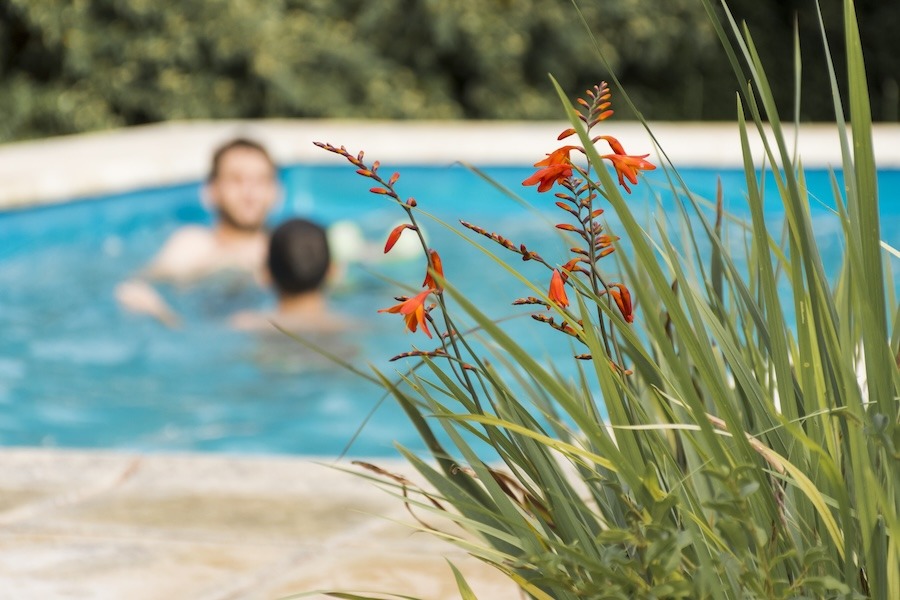 Piscine enterrée dans un jardin, illustrant l’impact d’une piscine sur la taxe foncière d’une maison individuelle